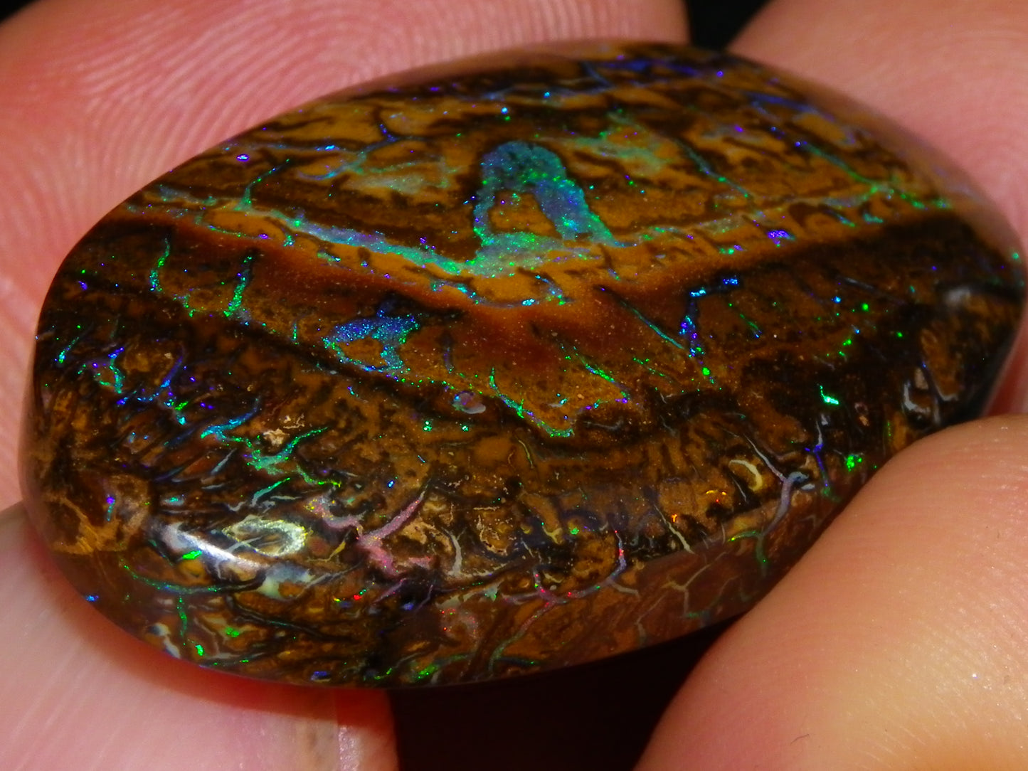 Quality Cut/Polished Koroit Opal Cab 61.1cts Blue/Green Patterns/Veins Queensland Au