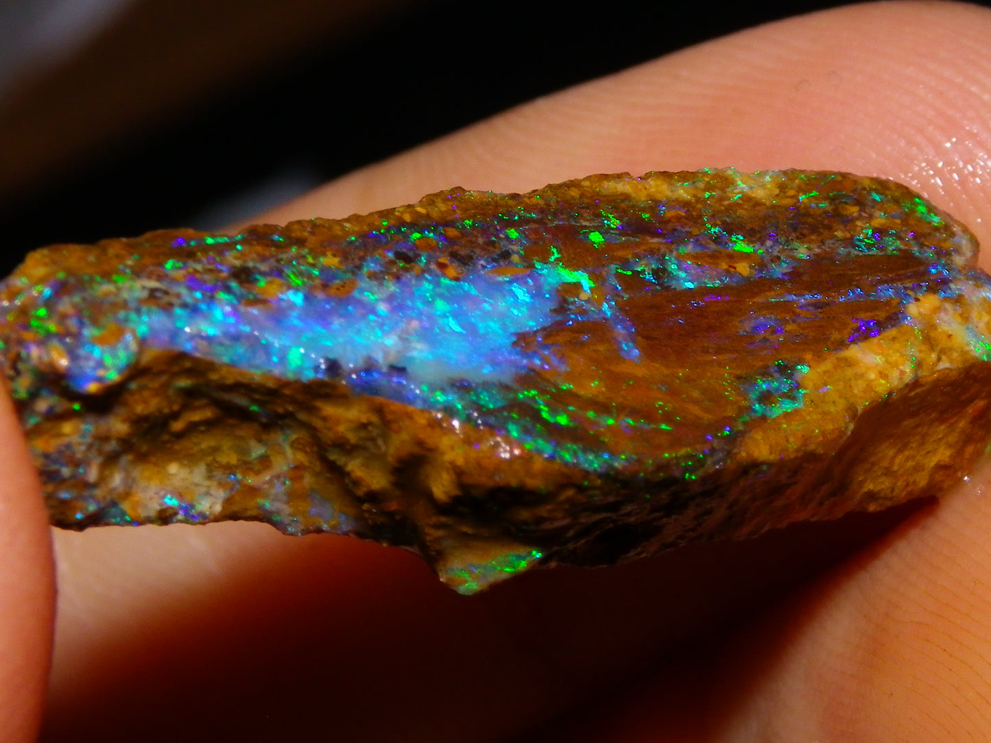 2 Nice Queensland Rough Opals 81.2cts Boulder/Koroit Blue/Green Fires Australia