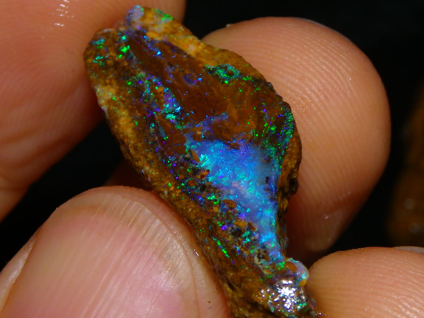 2 Nice Queensland Rough Opals 81.2cts Boulder/Koroit Blue/Green Fires Australia