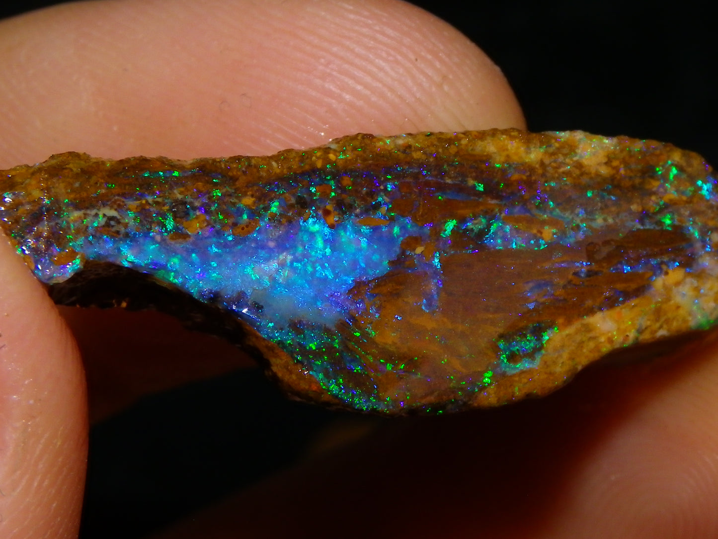 2 Nice Queensland Rough Opals 81.2cts Boulder/Koroit Blue/Green Fires Australia