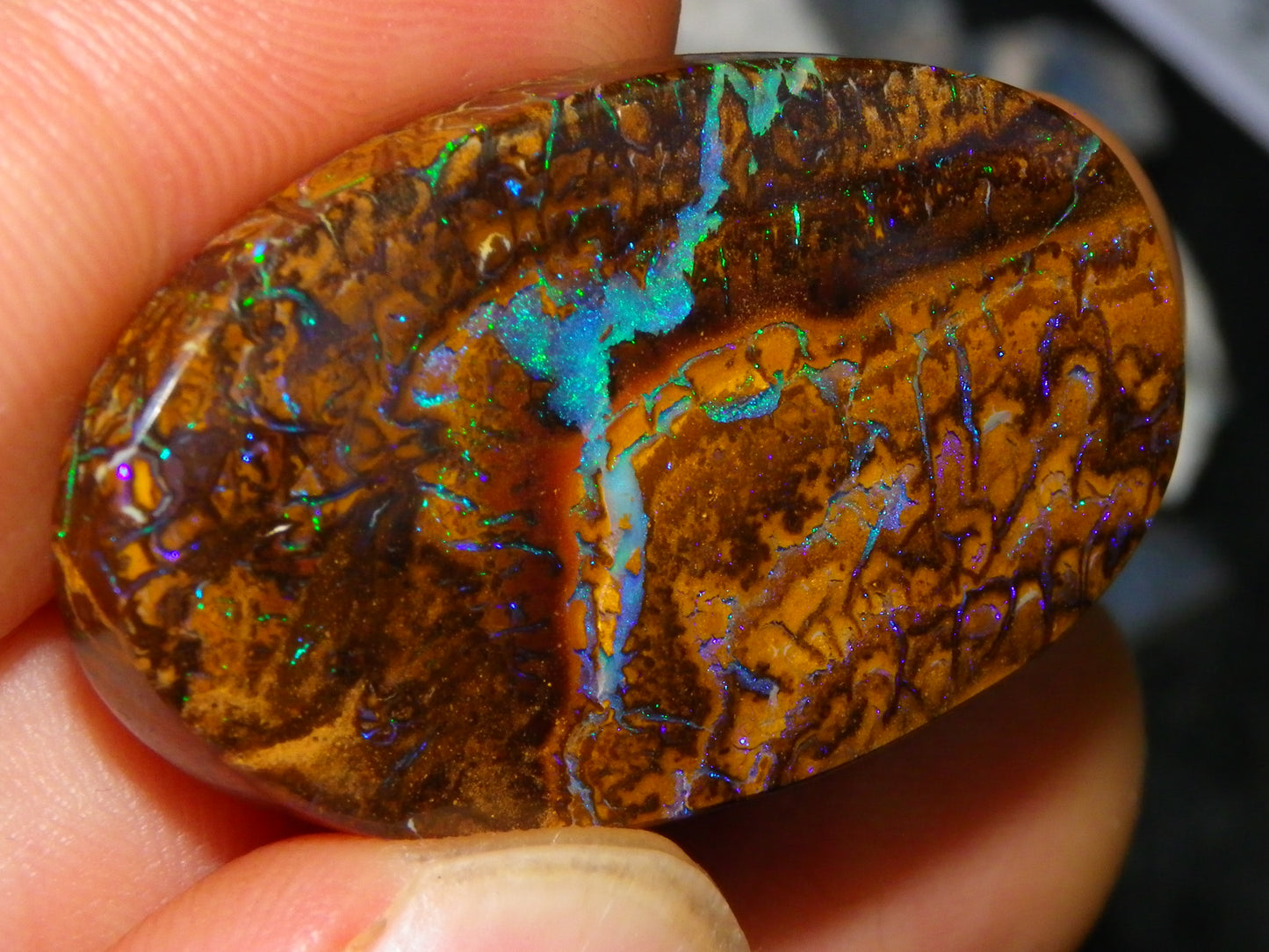 Quality Cut/Polished Koroit Opal Cab 61.1cts Blue/Green Patterns/Veins Queensland Au