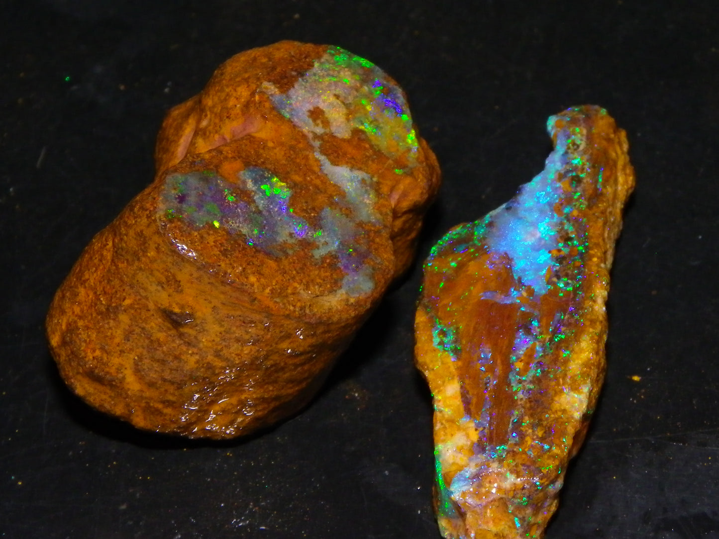 2 Nice Queensland Rough Opals 81.2cts Boulder/Koroit Blue/Green Fires Australia