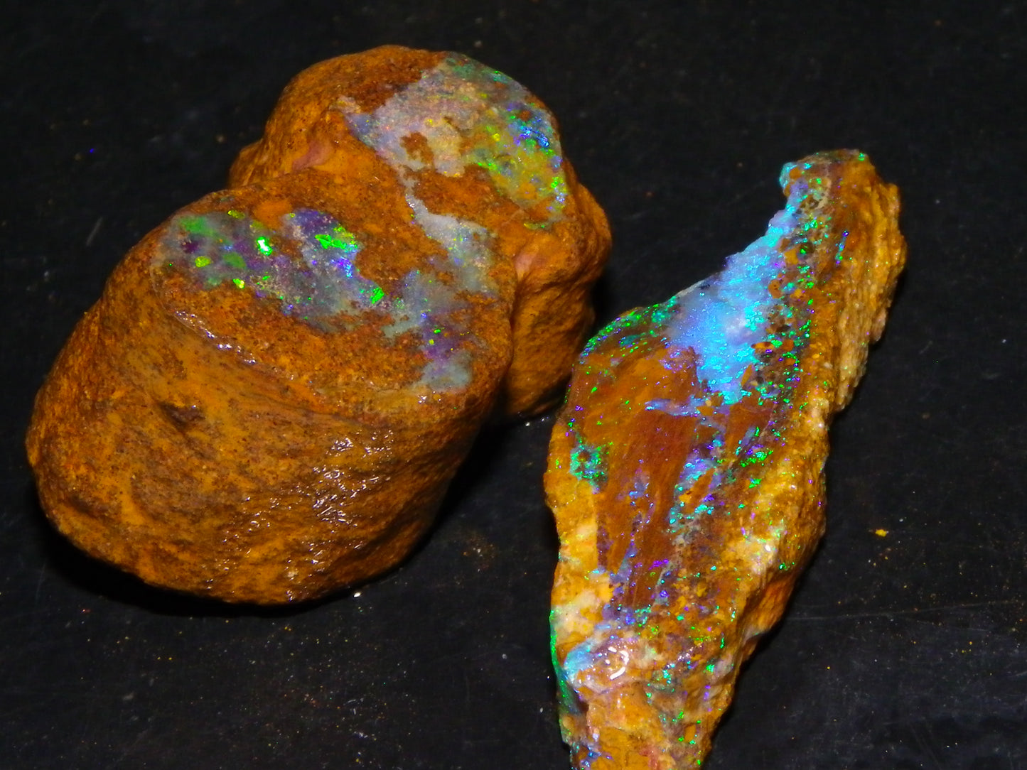 2 Nice Queensland Rough Opals 81.2cts Boulder/Koroit Blue/Green Fires Australia