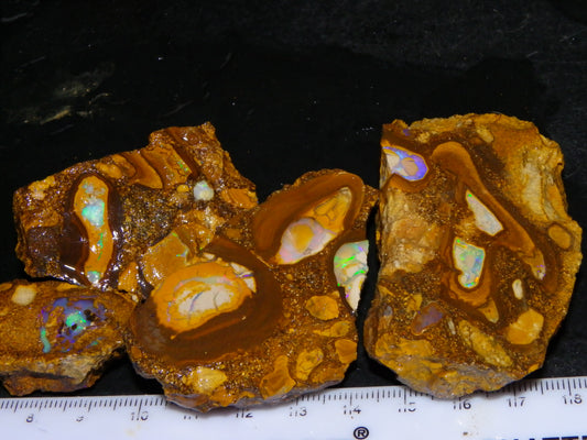 4 Nice Rough/Sliced Conglomerate/Boulder Opals 775cts Queensland Australia Nuts/Pods