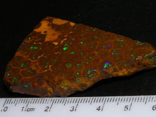 Nice Rubbed/Rough Opalton Gem Matrix Opal 149.5cts Greens/Orange Fires Australia
