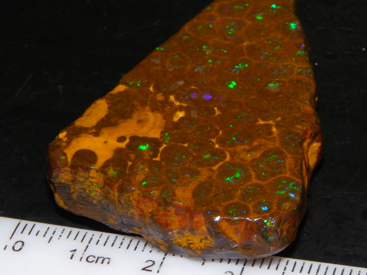 Nice Rubbed/Rough Opalton Gem Matrix Opal 149.5cts Greens/Orange Fires Australia