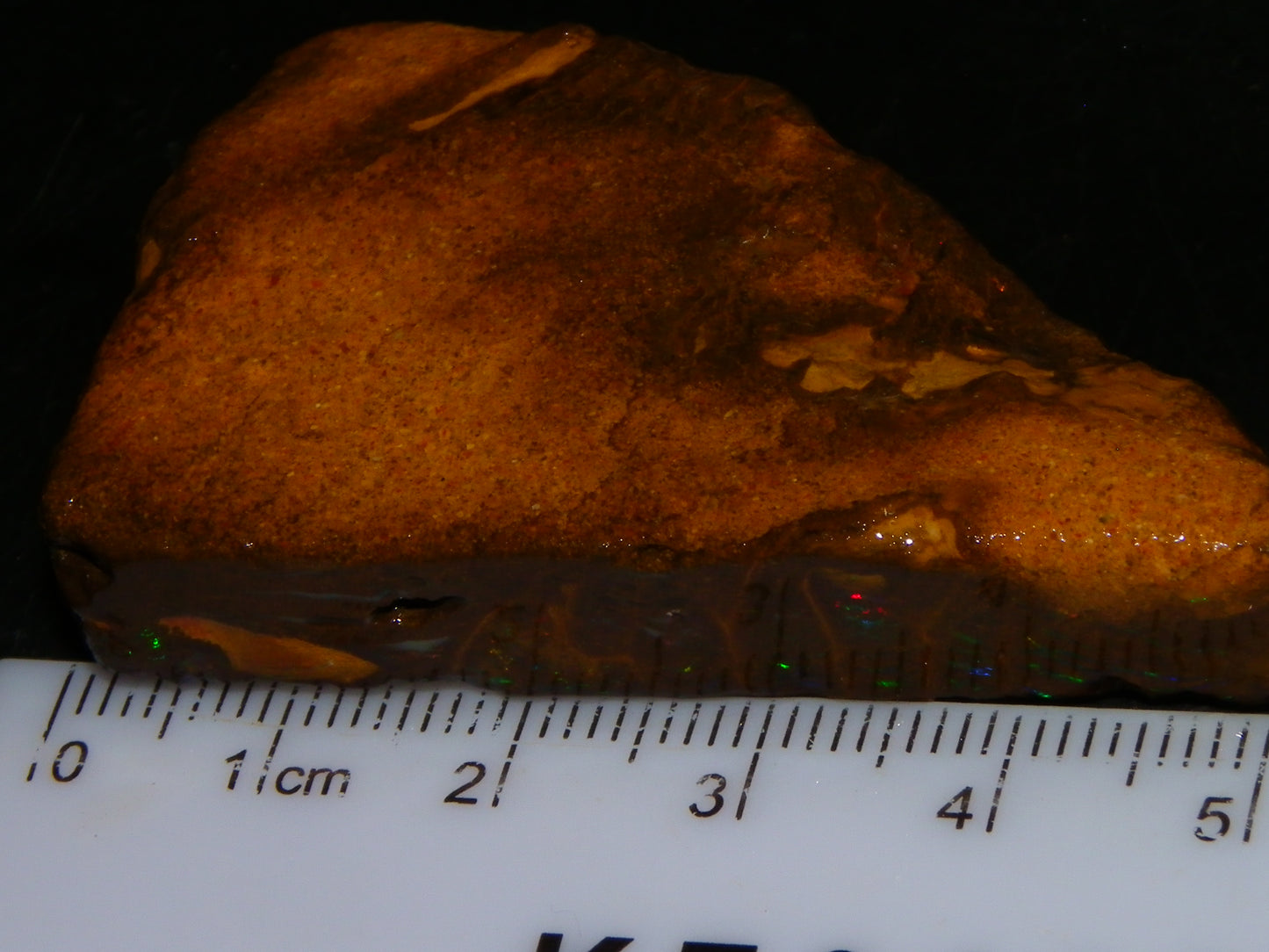 Nice Rubbed/Rough Opalton Gem Matrix Opal 149.5cts Greens/Orange Fires Australia