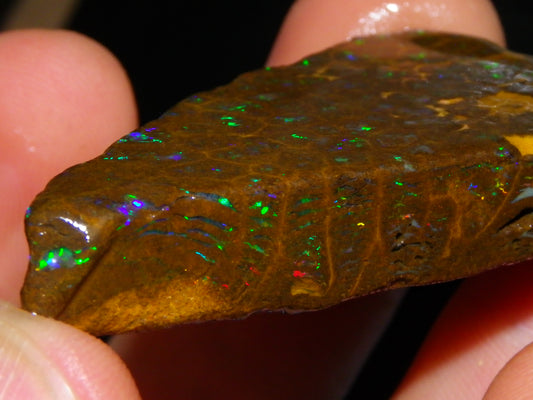 Nice Rubbed/Rough Opalton Gem Matrix Opal 149.5cts Greens/Orange Fires Australia