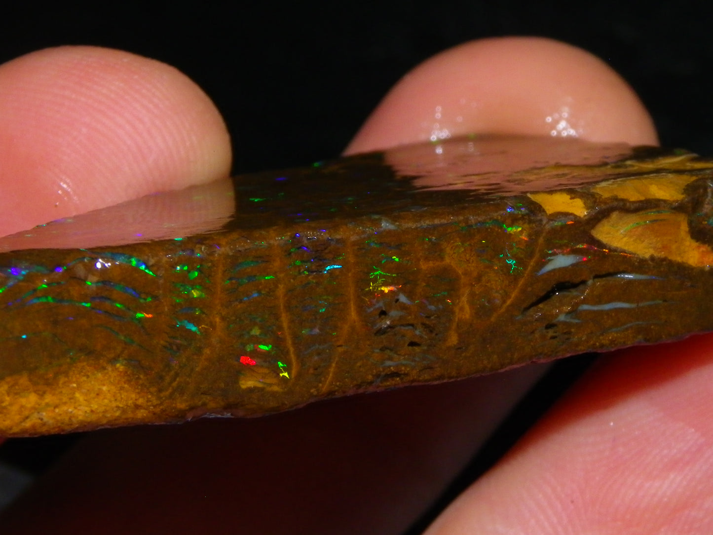 Nice Rubbed/Rough Opalton Gem Matrix Opal 149.5cts Greens/Orange Fires Australia