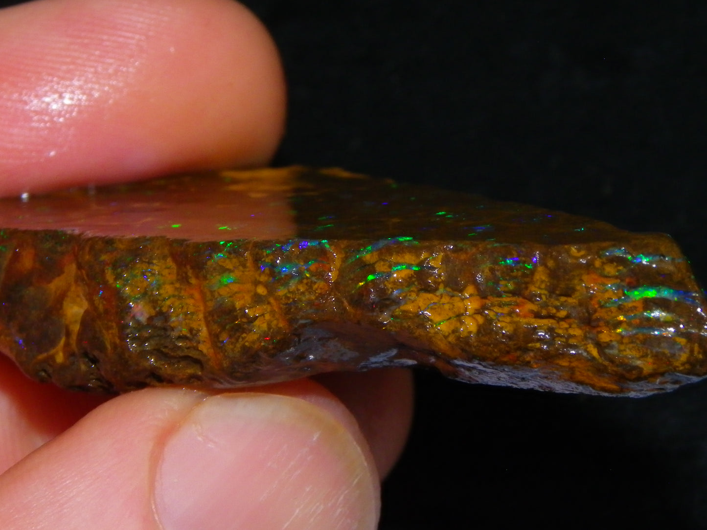 Nice Rubbed/Rough Opalton Gem Matrix Opal 149.5cts Greens/Orange Fires Australia