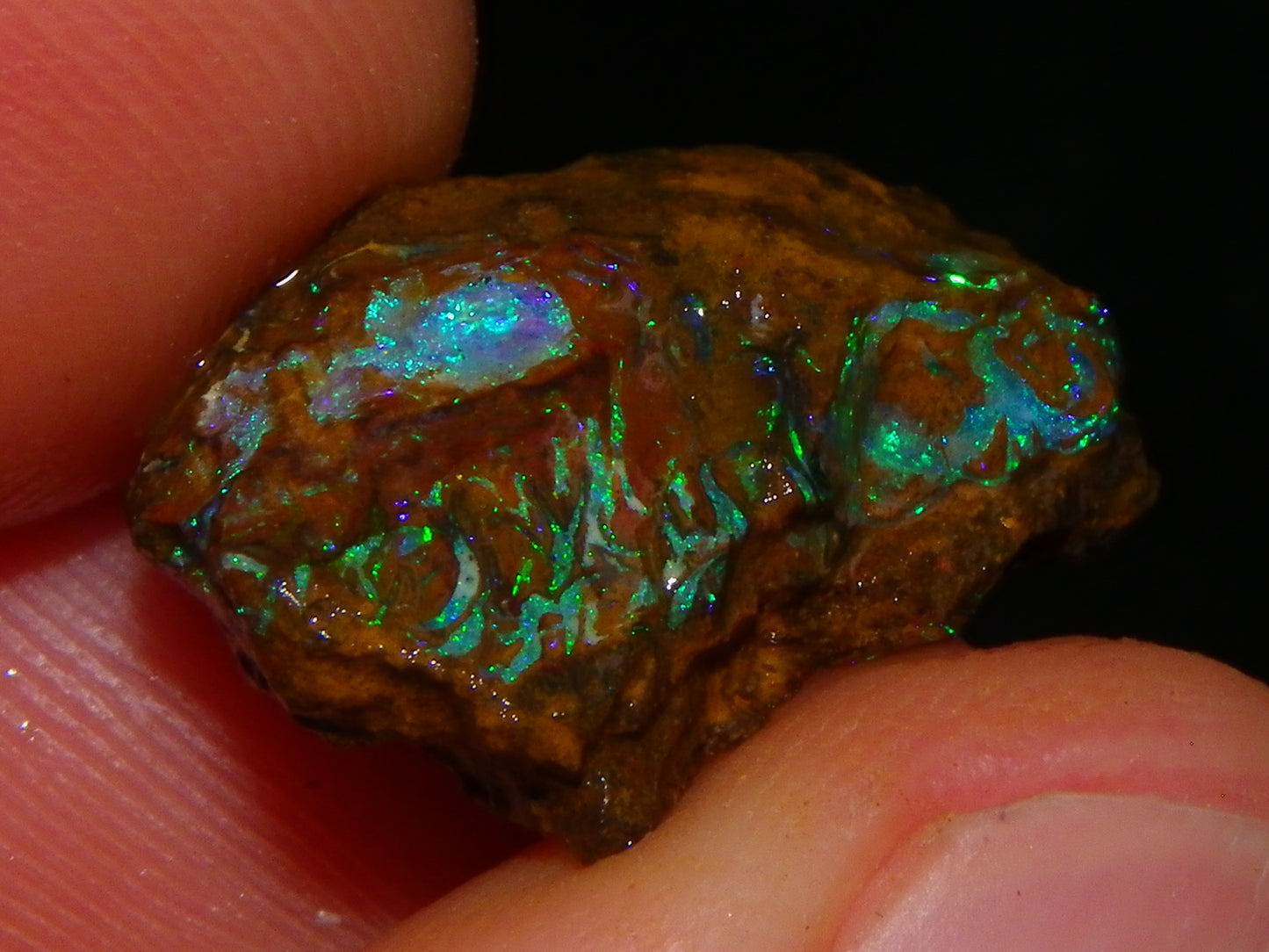 Nice Koroit Opal Rough/sliced Parcel 175.5cts Green/Blue Fires Patterns :) Qld Au