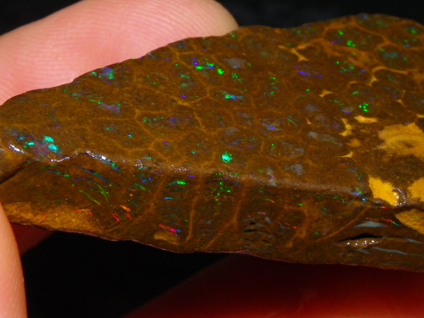 Nice Rubbed/Rough Opalton Gem Matrix Opal 149.5cts Greens/Orange Fires Australia