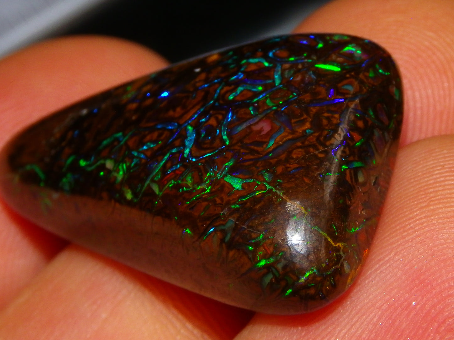 Superb Gem Koroit Opal Freeform Cab 50.69cts Bright Green/Blue Fires/veins Investment