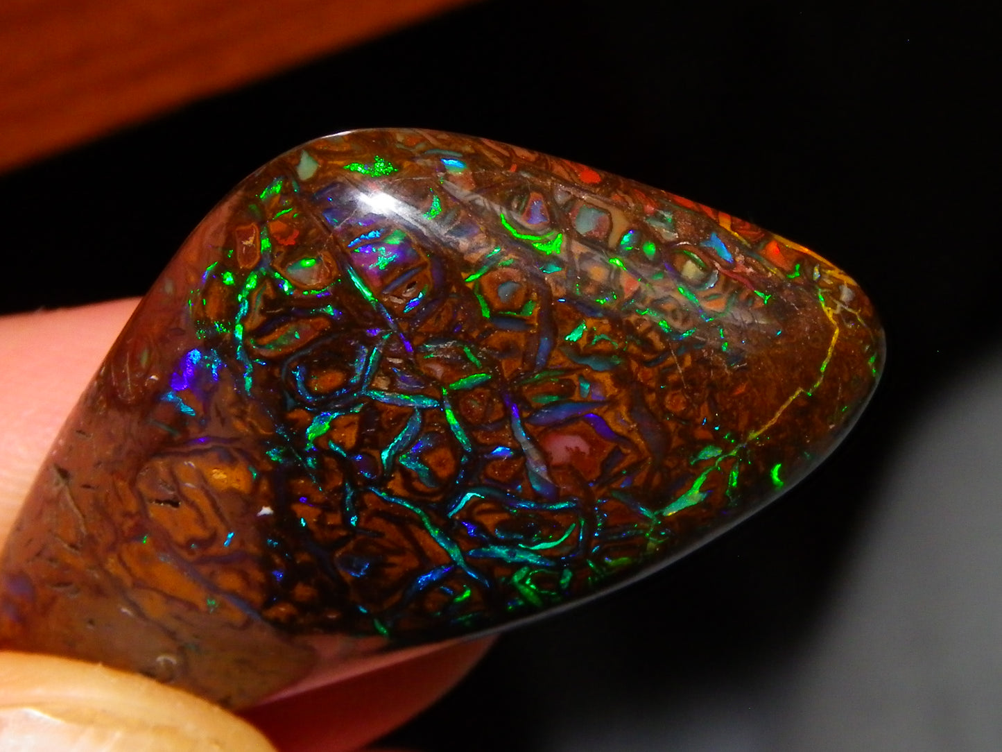 Superb Gem Koroit Opal Freeform Cab 50.69cts Bright Green/Blue Fires/veins Investment