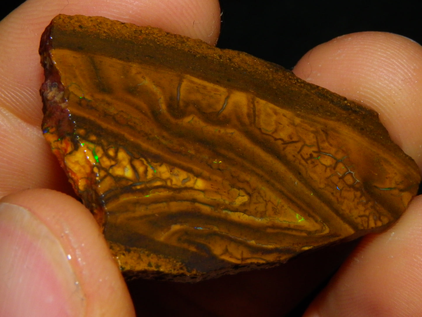 Nice Boulder/Matrix Opal Rough/Rubs Parcel 439cts Some Nice Fires :) Qld