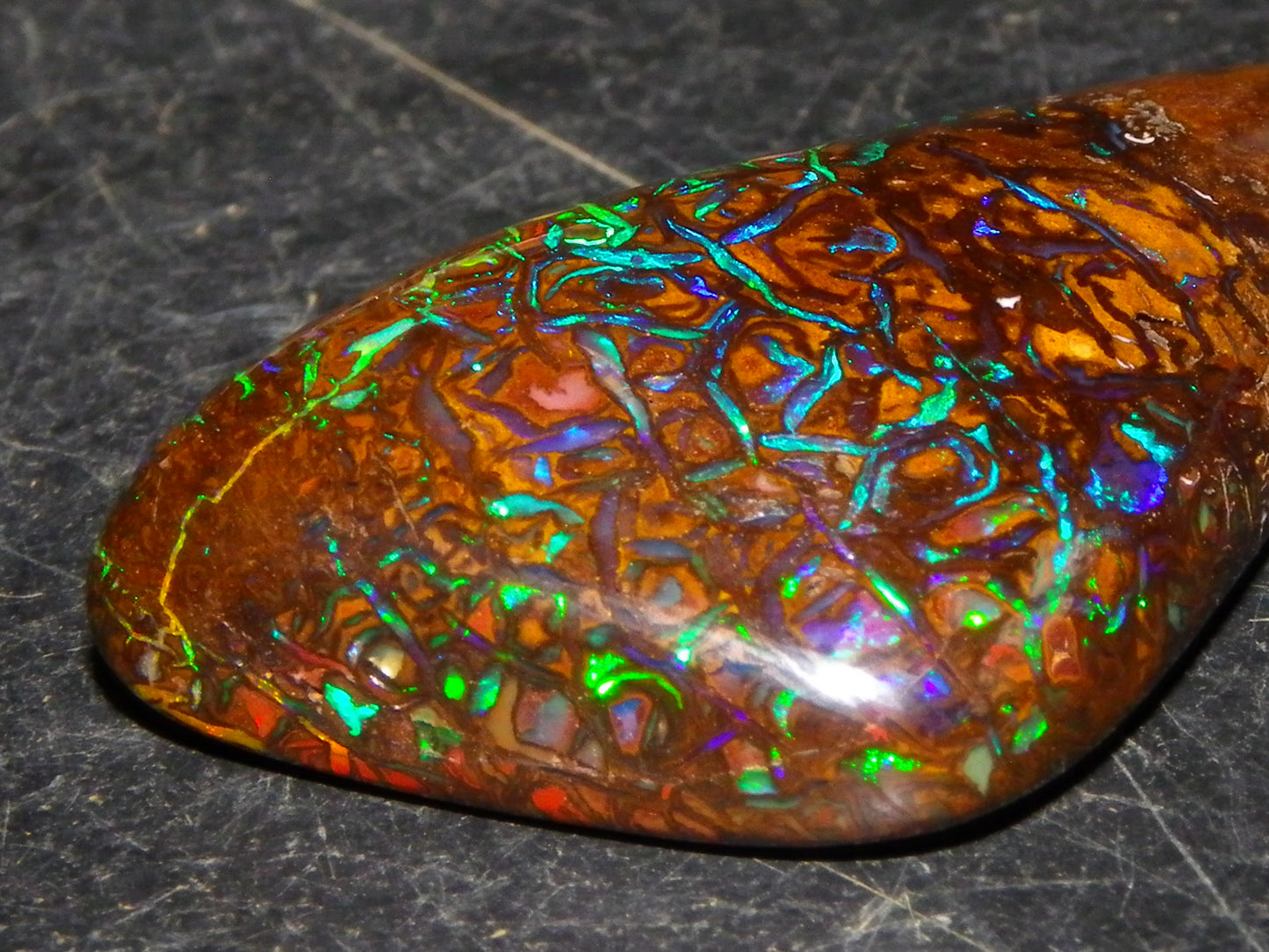Superb Gem Koroit Opal Freeform Cab 50.69cts Bright Green/Blue Fires/veins Investment