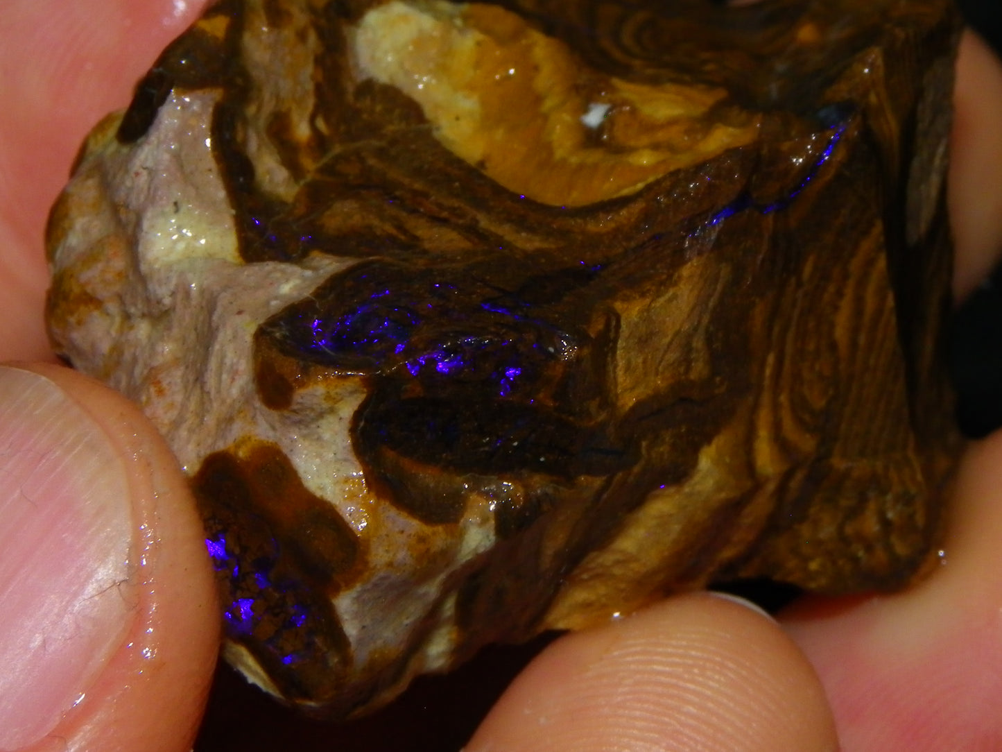 Nice Boulder/Matrix Opal Rough/Rubs Parcel 439cts Some Nice Fires :) Qld