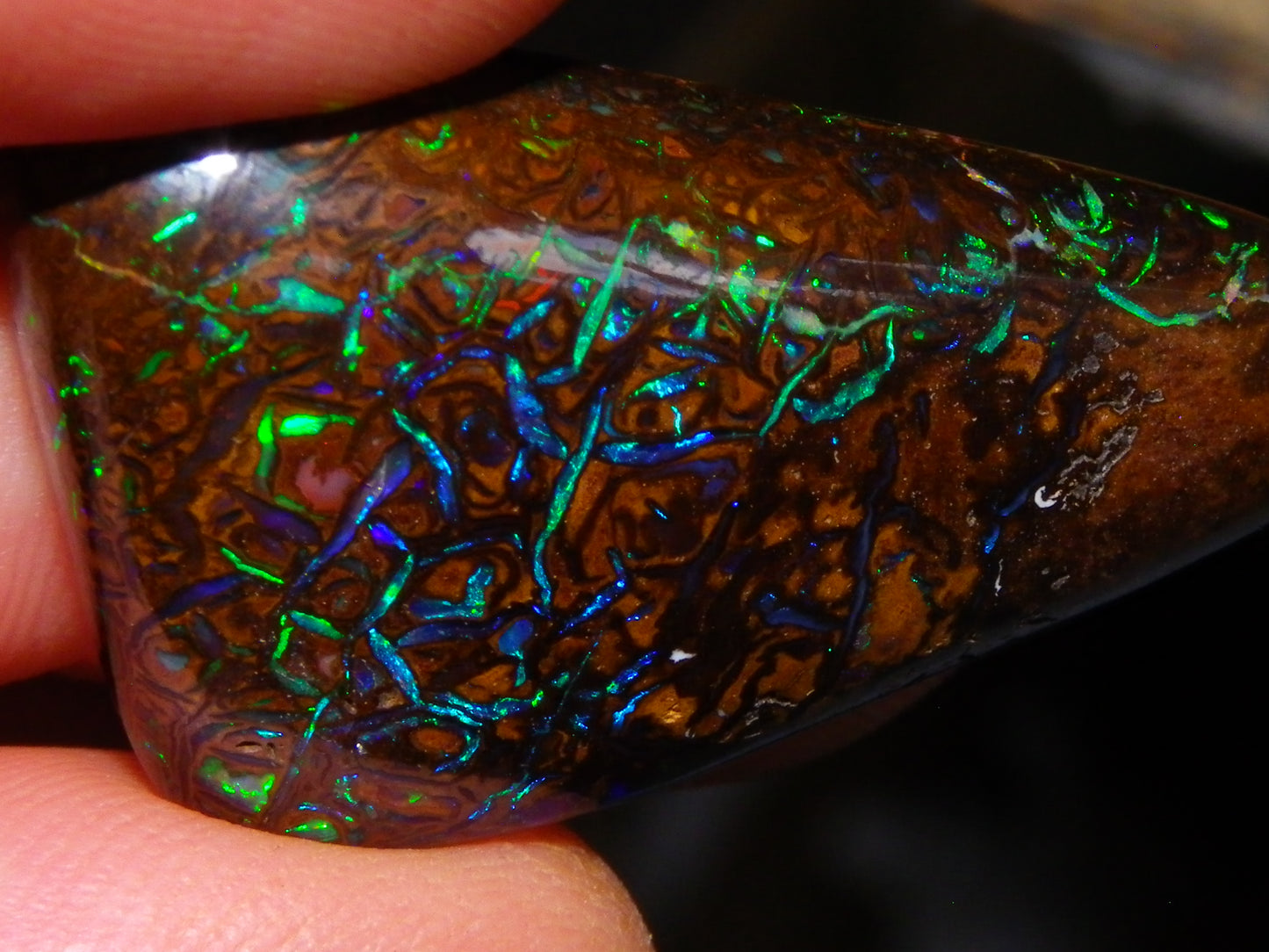Superb Gem Koroit Opal Freeform Cab 50.69cts Bright Green/Blue Fires/veins Investment