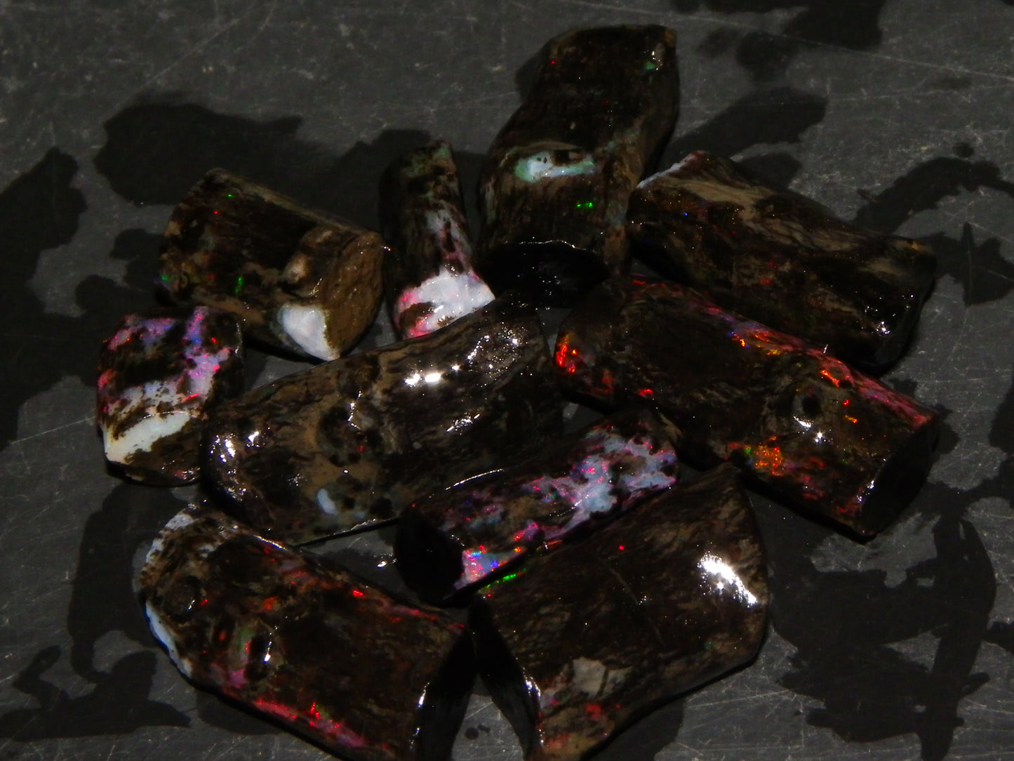 Nice Indonesian Fossil Opal Rough/Rubs 59.4cts Red/Green/Gold Fires Branches