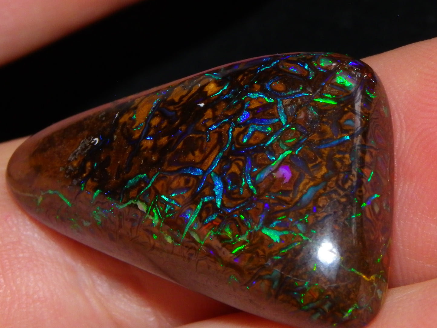Superb Gem Koroit Opal Freeform Cab 50.69cts Bright Green/Blue Fires/veins Investment