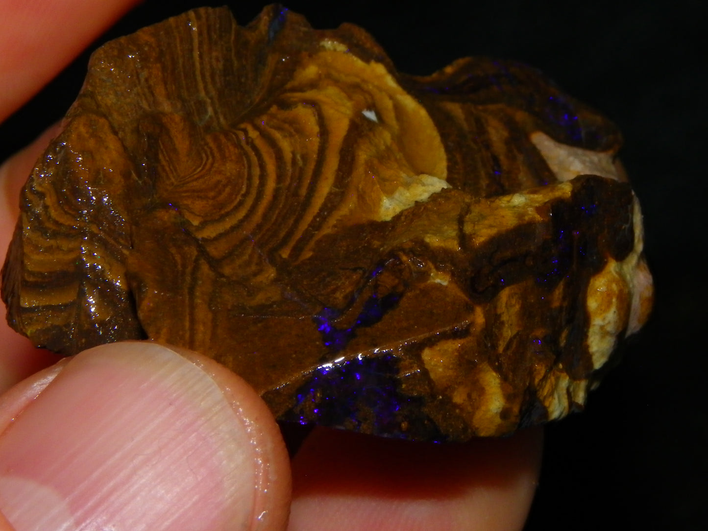 Nice Boulder/Matrix Opal Rough/Rubs Parcel 439cts Some Nice Fires :) Qld