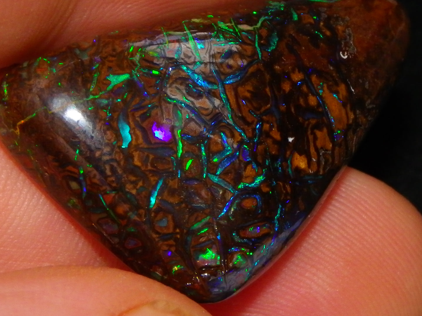 Superb Gem Koroit Opal Freeform Cab 50.69cts Bright Green/Blue Fires/veins Investment