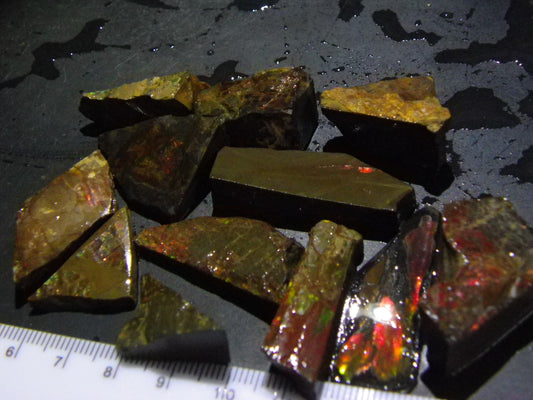 Nice Ammolite Rough/specimen Parcel 360cts Some Red/Green/Gold Colours Canada