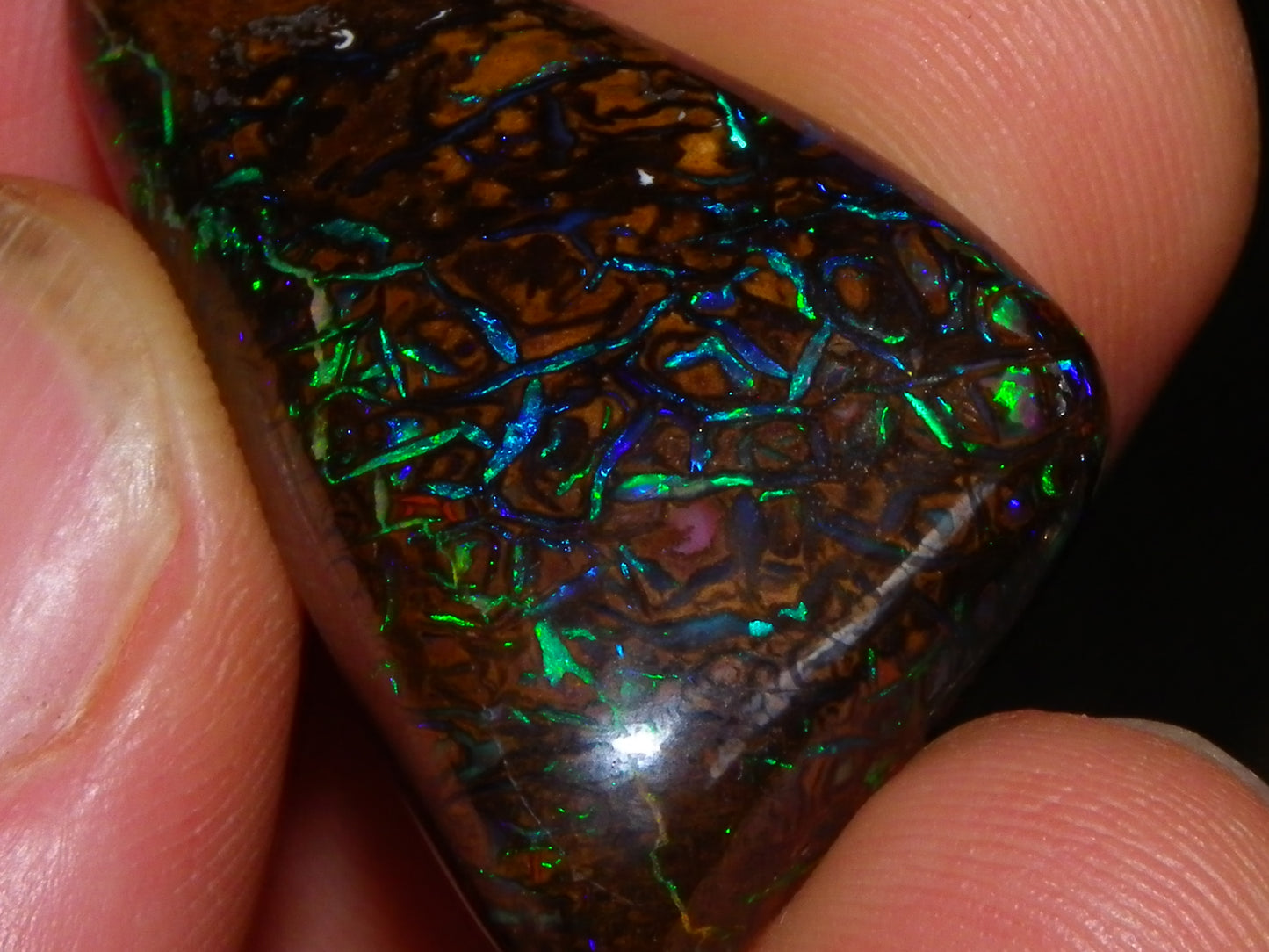 Superb Gem Koroit Opal Freeform Cab 50.69cts Bright Green/Blue Fires/veins Investment
