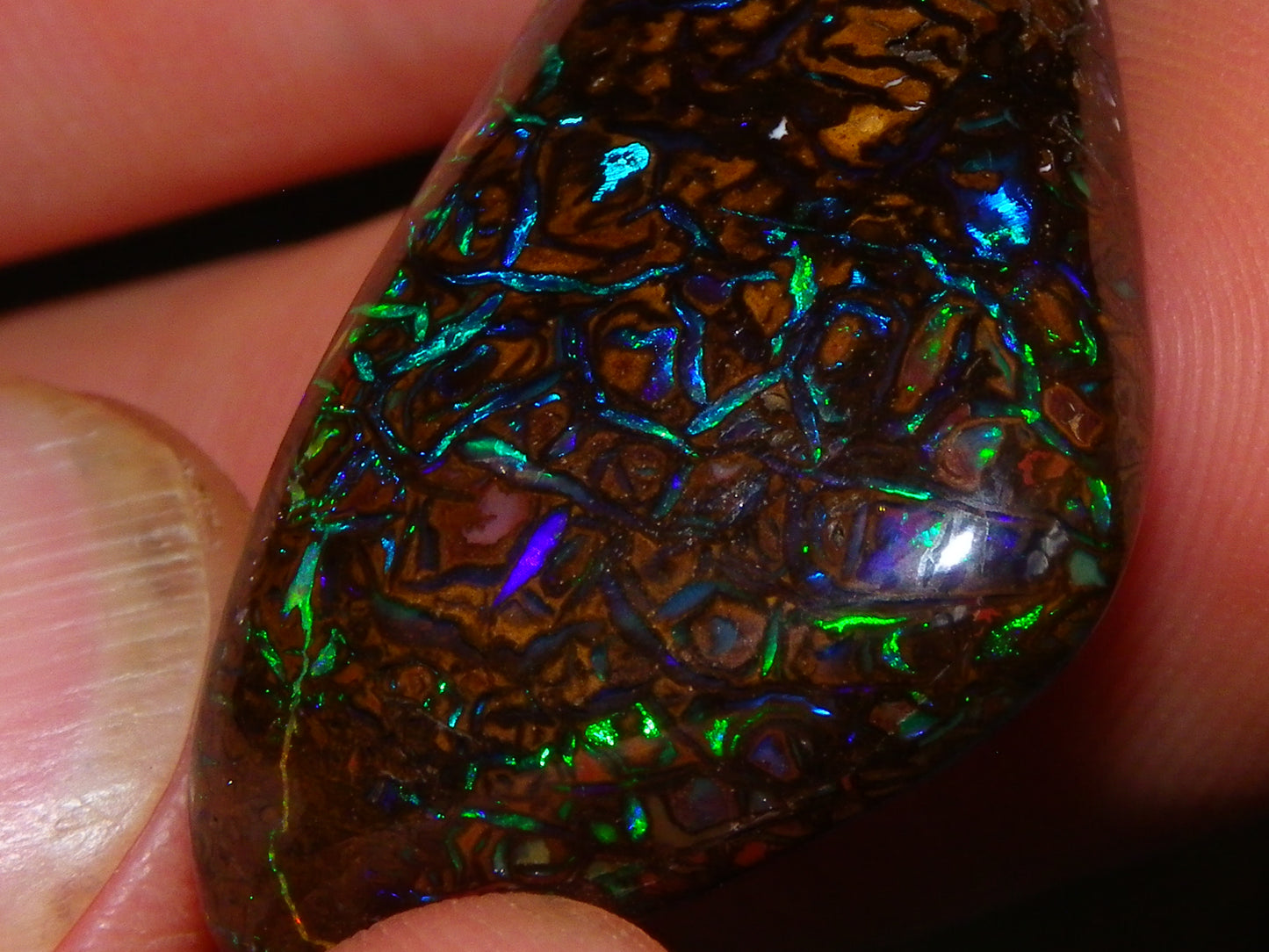 Superb Gem Koroit Opal Freeform Cab 50.69cts Bright Green/Blue Fires/veins Investment
