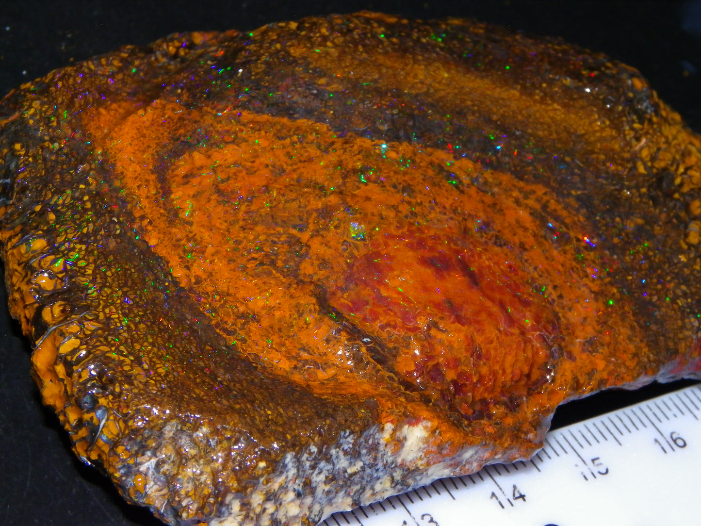 Huge 600cts Koroit Opal Rough/Slice Pinfires/Patterns throughout Queensland Australia