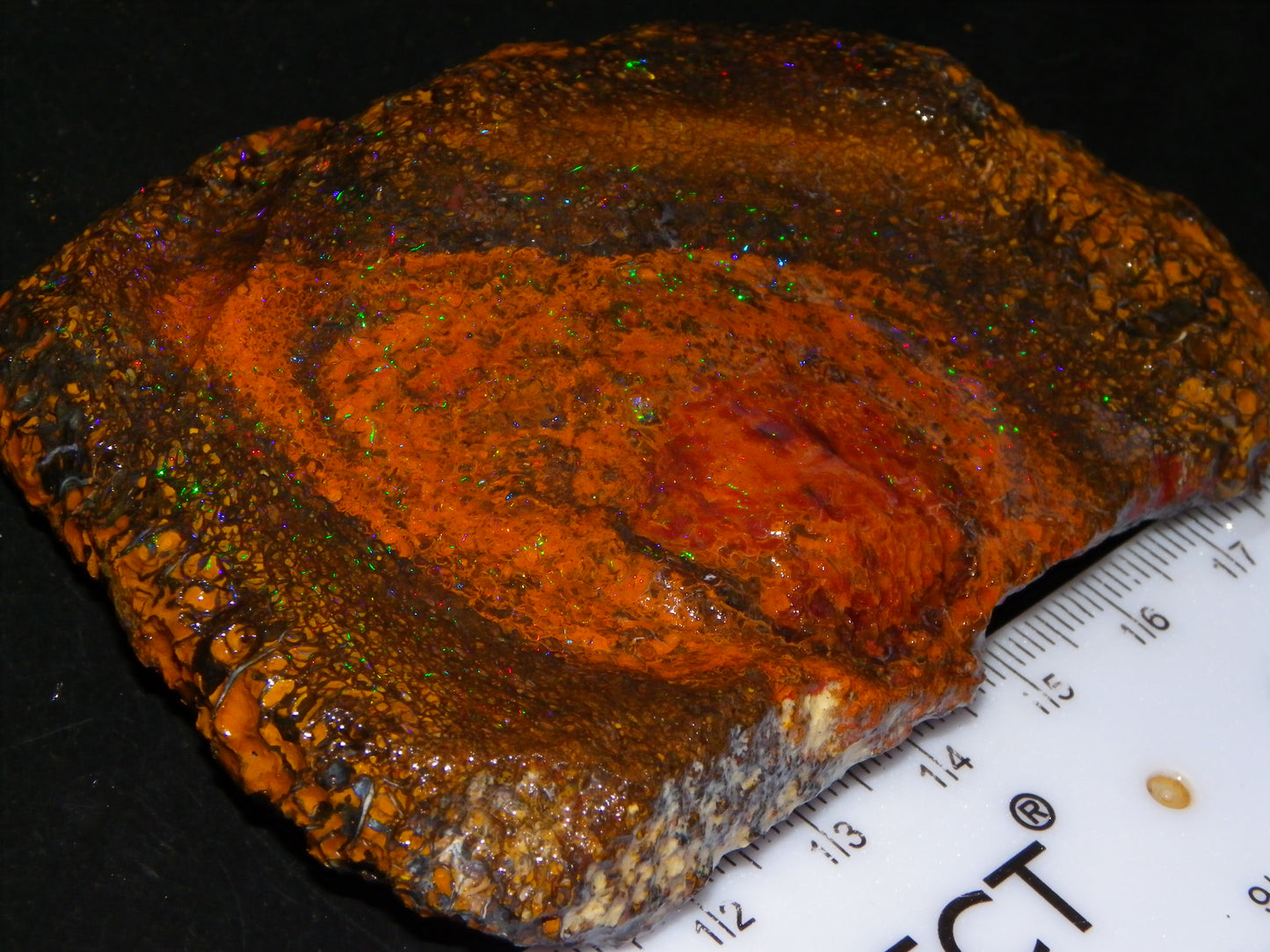 Huge 600cts Koroit Opal Rough/Slice Pinfires/Patterns throughout Queensland Australia