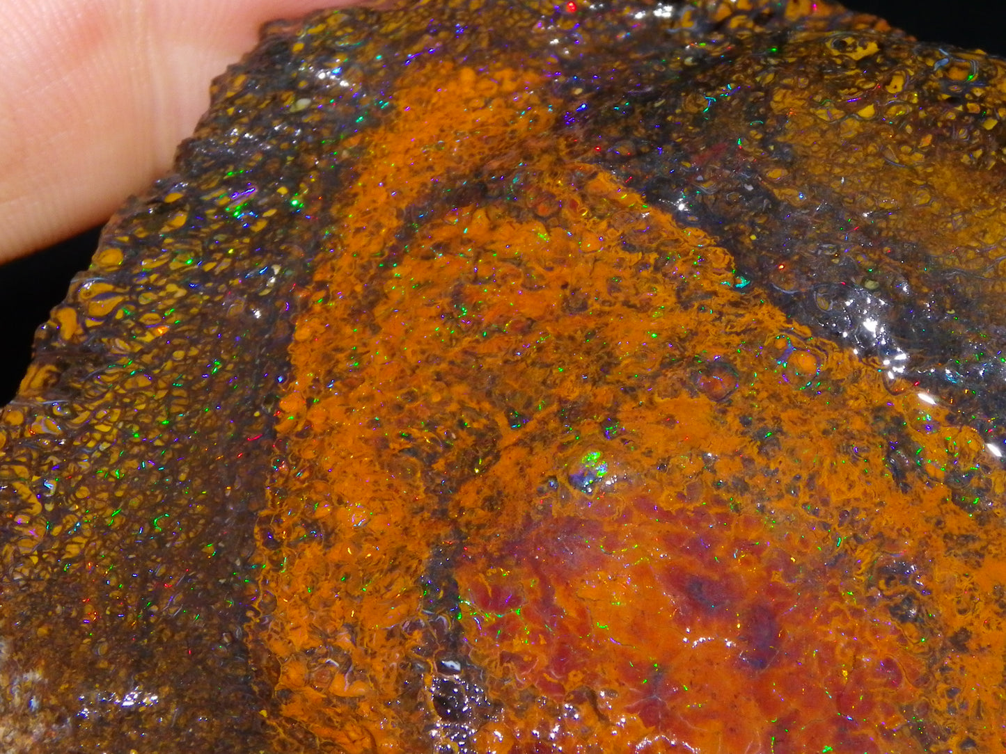 Huge 600cts Koroit Opal Rough/Slice Pinfires/Patterns throughout Queensland Australia