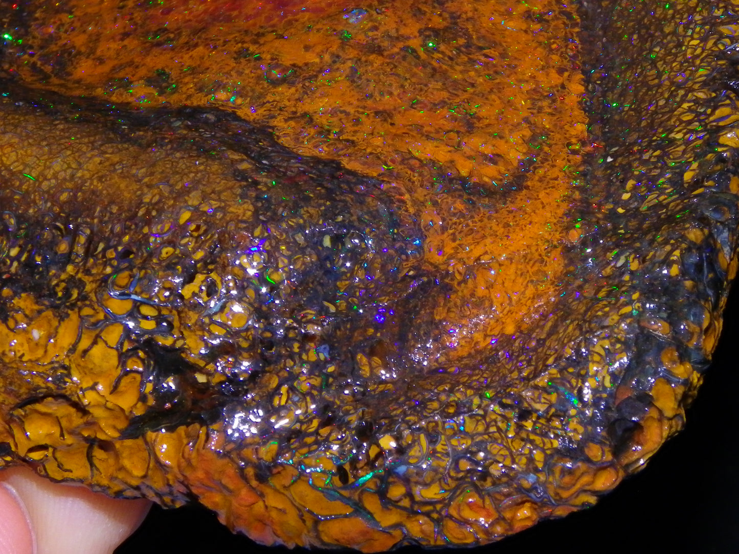 Huge 600cts Koroit Opal Rough/Slice Pinfires/Patterns throughout Queensland Australia