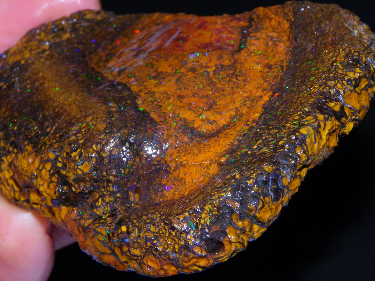 Huge 600cts Koroit Opal Rough/Slice Pinfires/Patterns throughout Queensland Australia