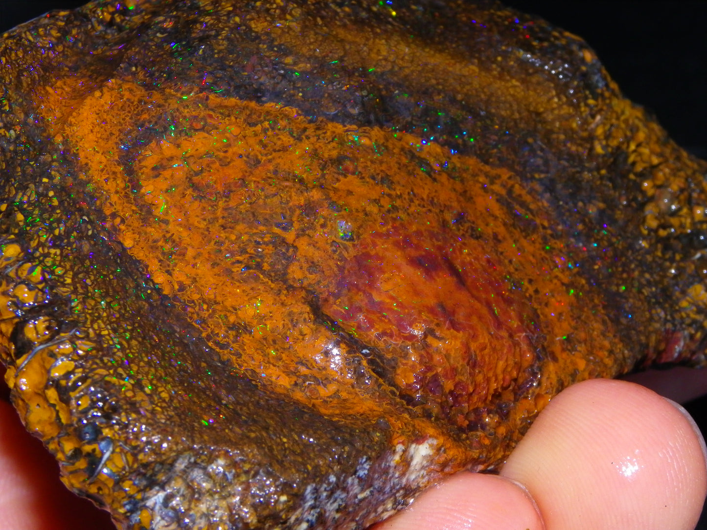 Huge 600cts Koroit Opal Rough/Slice Pinfires/Patterns throughout Queensland Australia