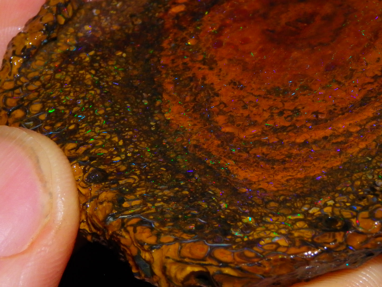 Huge 600cts Koroit Opal Rough/Slice Pinfires/Patterns throughout Queensland Australia