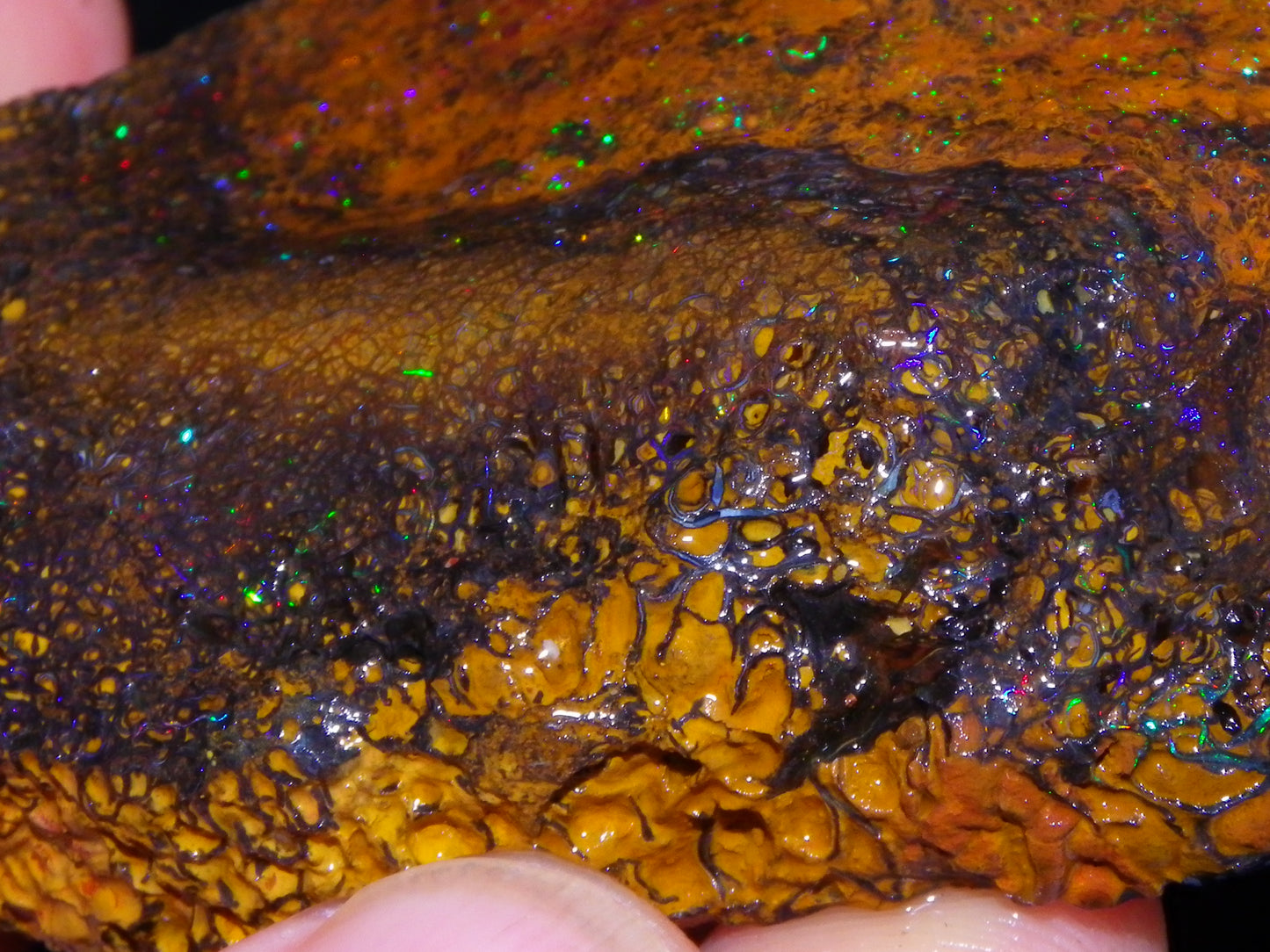 Huge 600cts Koroit Opal Rough/Slice Pinfires/Patterns throughout Queensland Australia