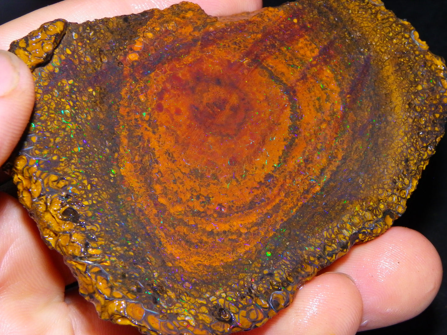 Huge 600cts Koroit Opal Rough/Slice Pinfires/Patterns throughout Queensland Australia