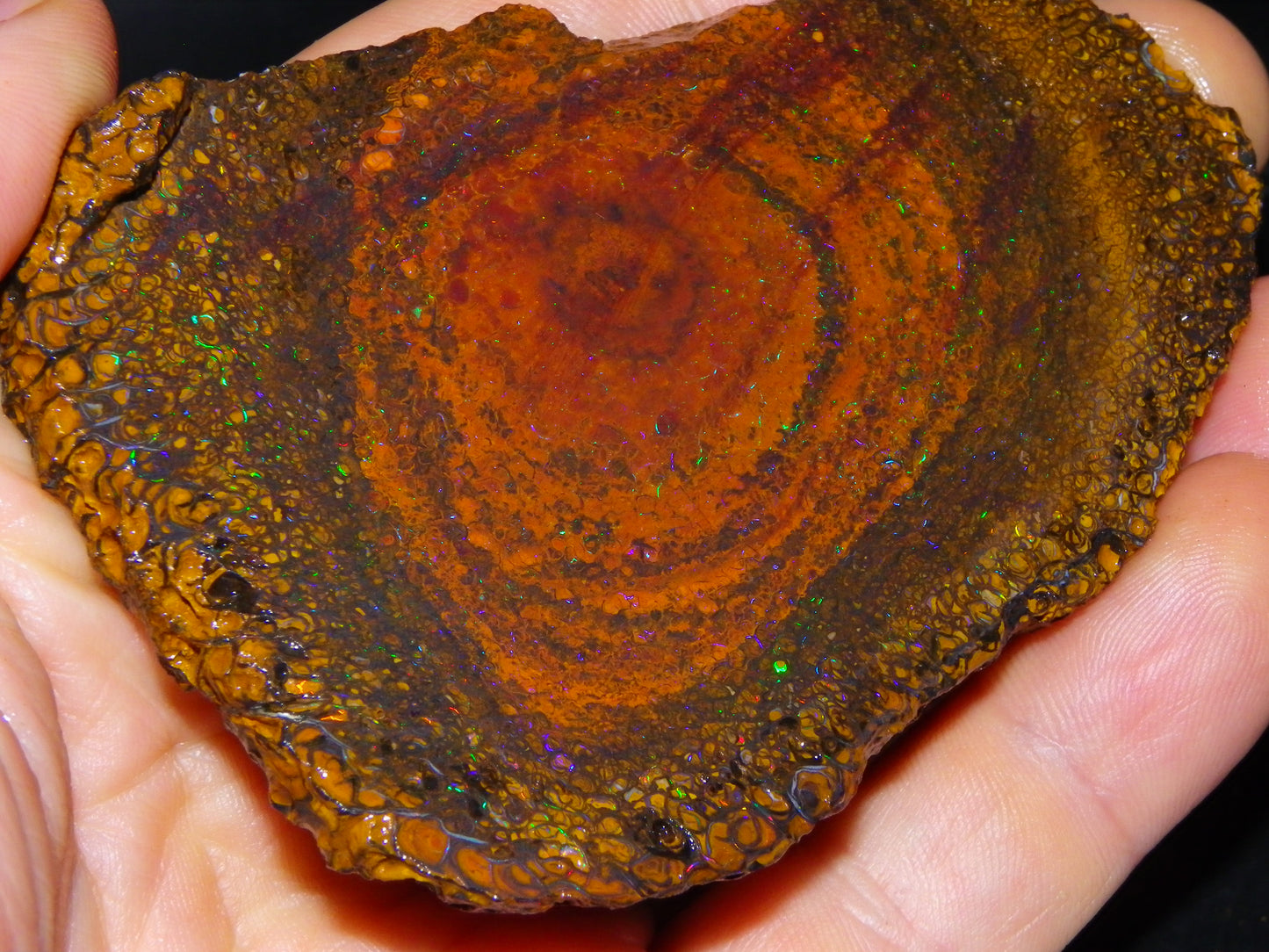 Huge 600cts Koroit Opal Rough/Slice Pinfires/Patterns throughout Queensland Australia