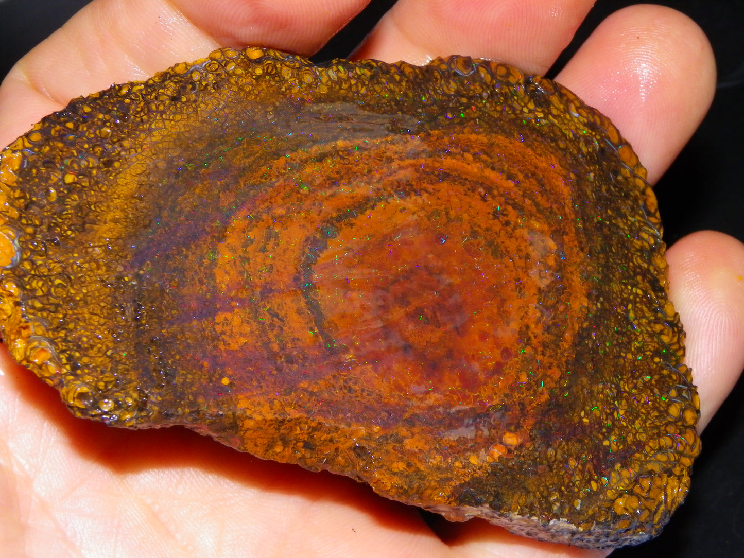 Huge 600cts Koroit Opal Rough/Slice Pinfires/Patterns throughout Queensland Australia