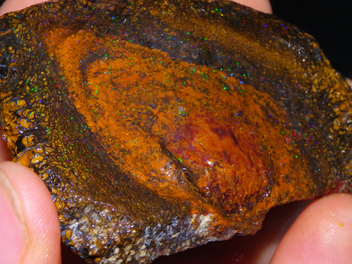 Huge 600cts Koroit Opal Rough/Slice Pinfires/Patterns throughout Queensland Australia