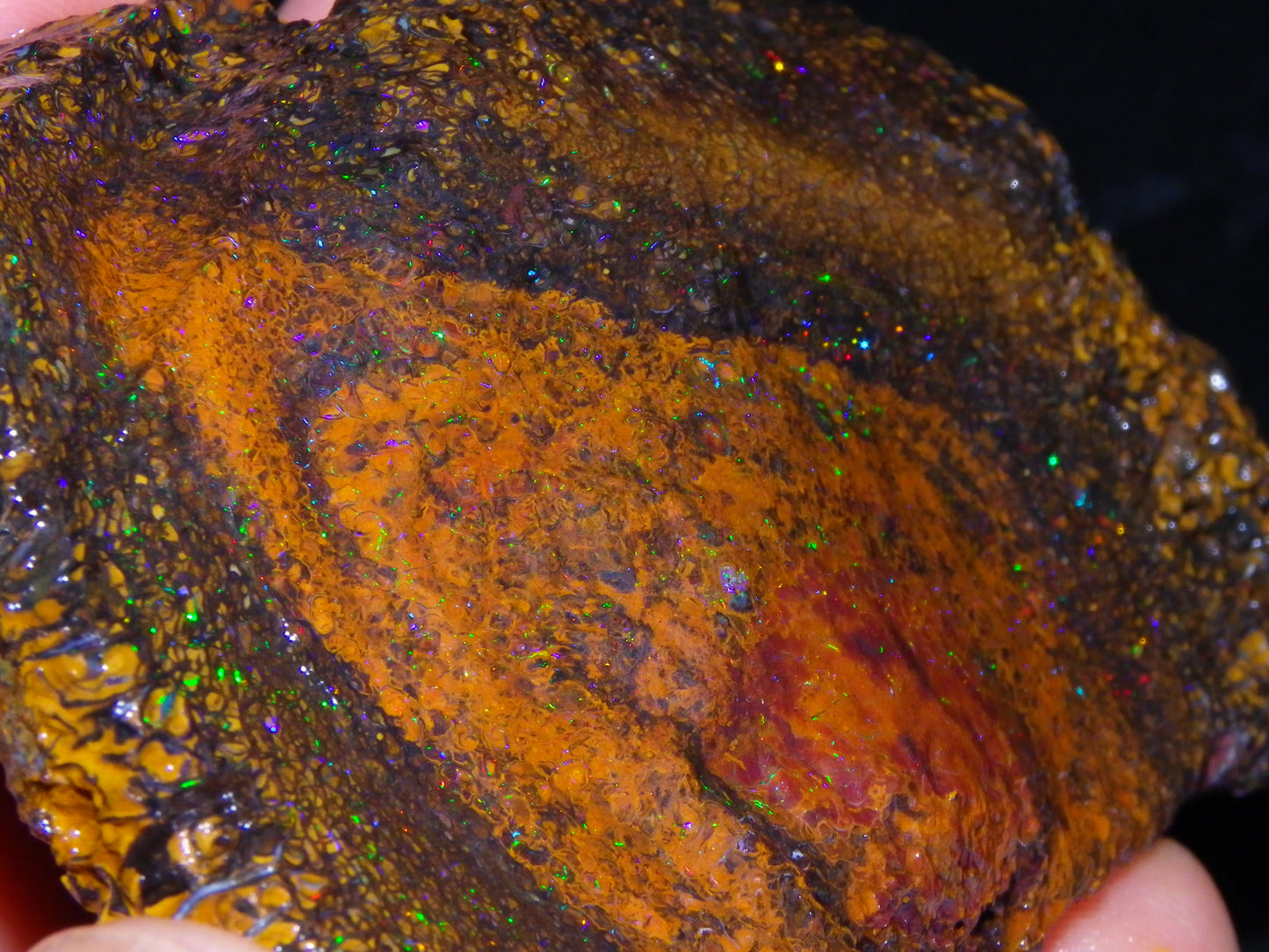 Huge 600cts Koroit Opal Rough/Slice Pinfires/Patterns throughout Queensland Australia