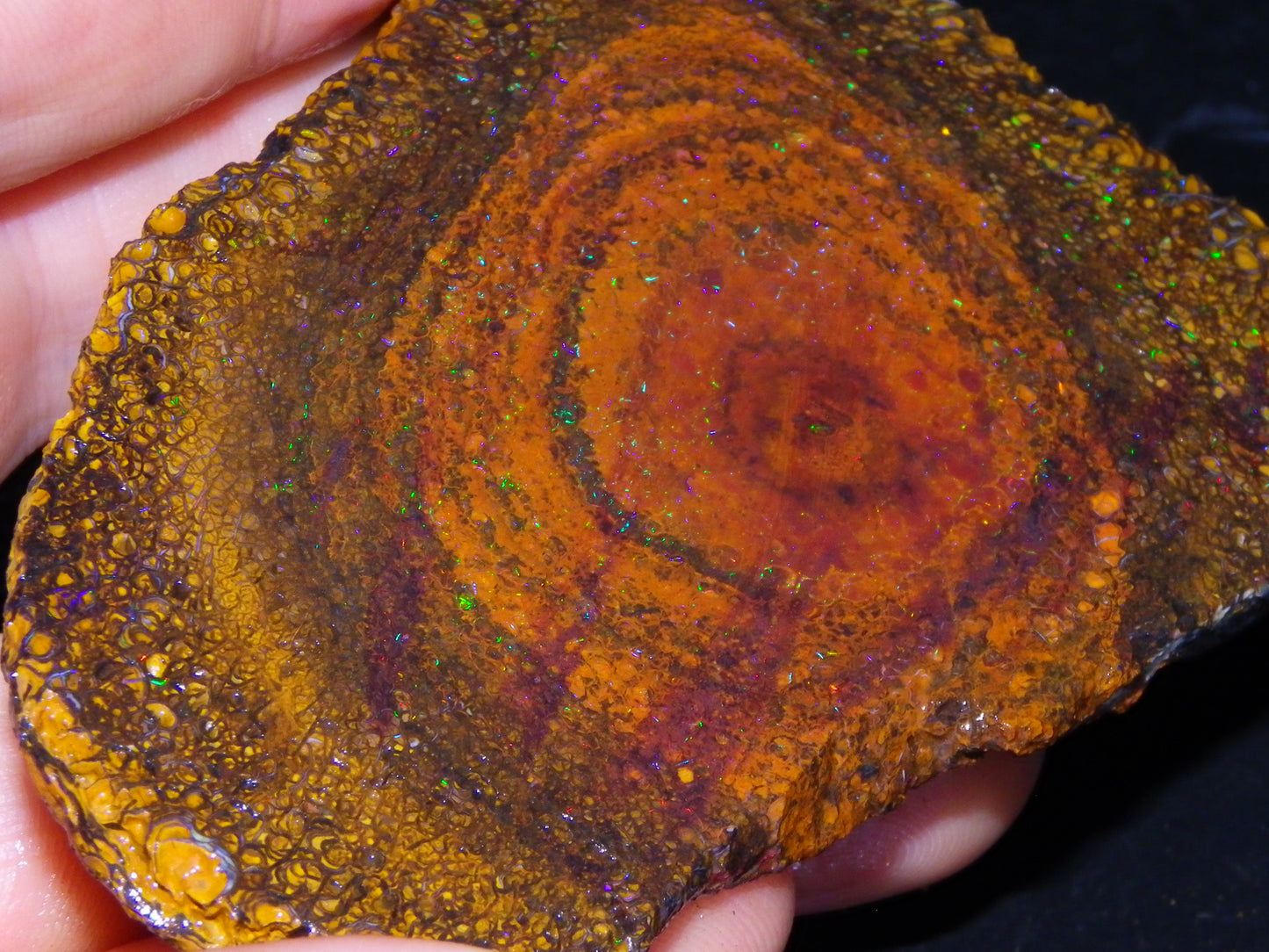 Huge 600cts Koroit Opal Rough/Slice Pinfires/Patterns throughout Queensland Australia