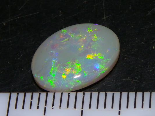 Gem Lightning Ridge Opal Cab 2.95cts Multicolour Fires Light Grey Base Australia