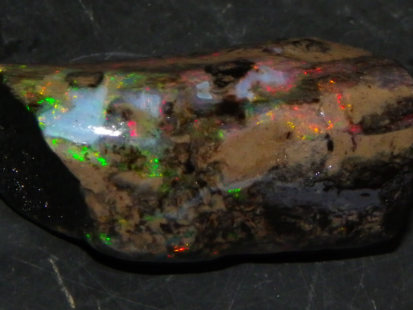 2 Nice Quality Indonesian Fossil Opal Specimens 41.3cts Bright Fires Green/Reds