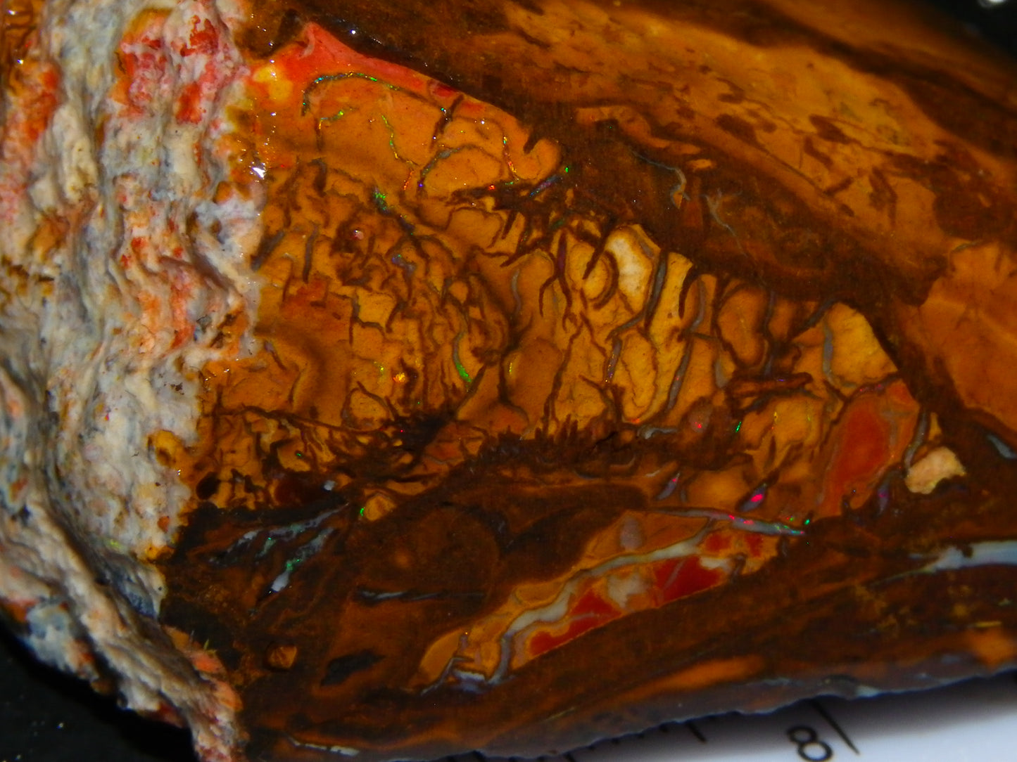 Nice Rubbed/Rough Koroit Opal Specimen 564cts Pattern/Fires Large Size :)
