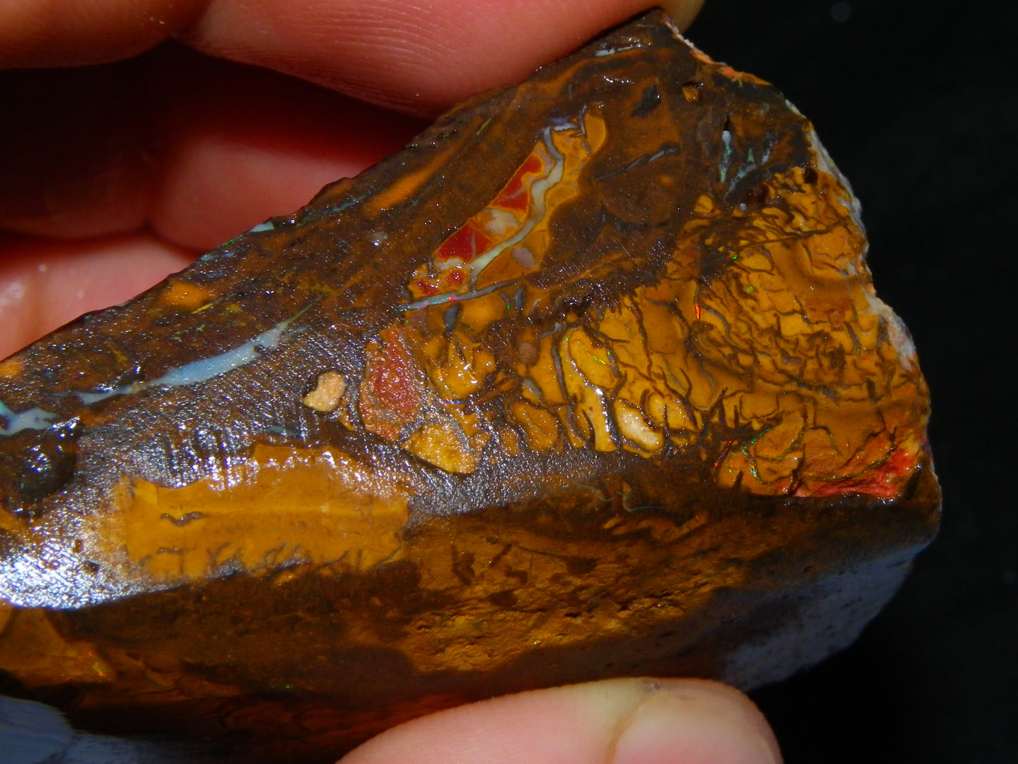 Nice Rubbed/Rough Koroit Opal Specimen 564cts Pattern/Fires Large Size :)