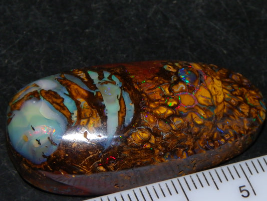 Nice Cut/Polished Koroit Opal Cab/Freeform 79.35cts Fires/Veins/Patterns Qld Au