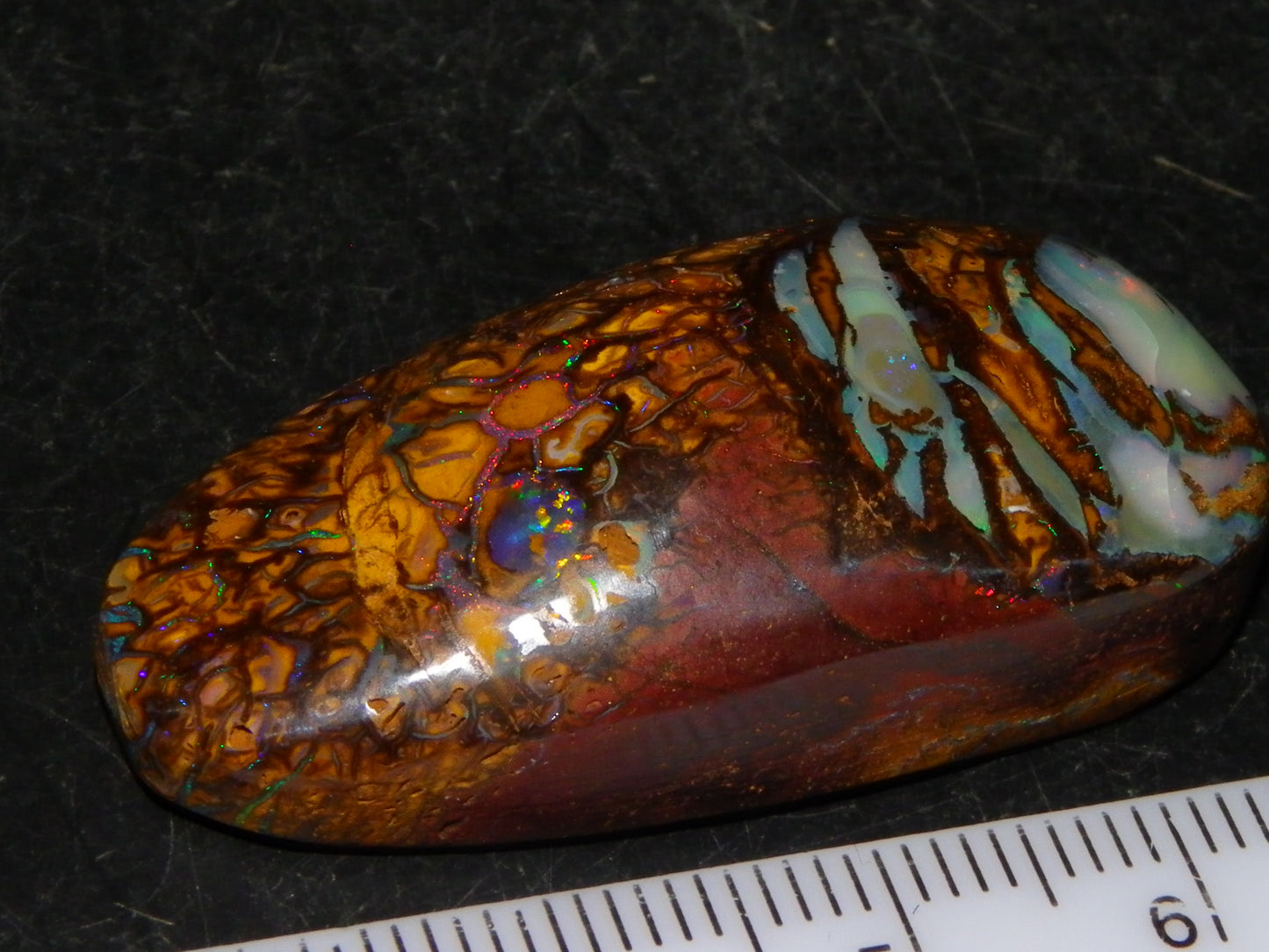 Nice Cut/Polished Koroit Opal Cab/Freeform 79.35cts Fires/Veins/Patterns Qld Au