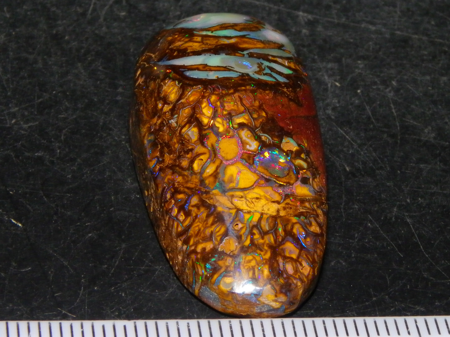 Nice Cut/Polished Koroit Opal Cab/Freeform 79.35cts Fires/Veins/Patterns Qld Au